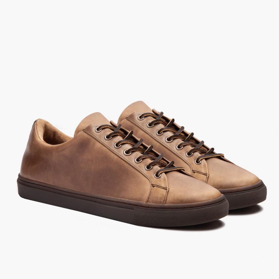 Men\'s Thursday Premier Low Tops Leather Sneakers Brown | CA225CTV