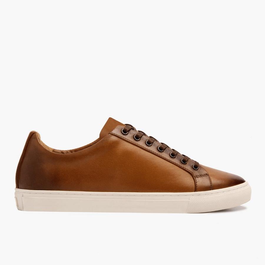 Men's Thursday Premier Low Tops Leather Rugged & Resilient Sneakers Gold | CA227ZUT