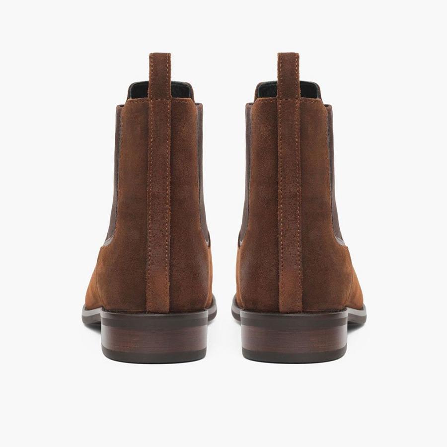 Women's Thursday Duchess Suede Chelsea Boots Coffee | CA366AHK