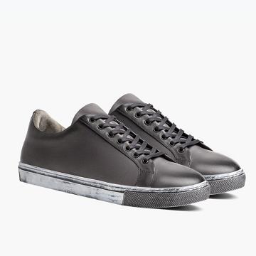 Men's Thursday Premier Low Tops Leather Sneakers Grey | CA221MQZ