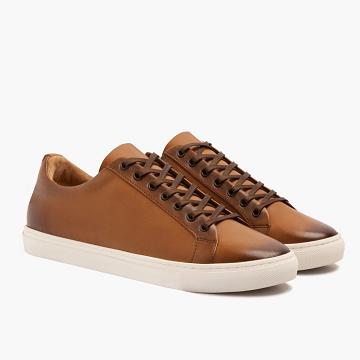 Men's Thursday Premier Low Tops Leather Rugged & Resilient Sneakers Gold | CA227ZUT